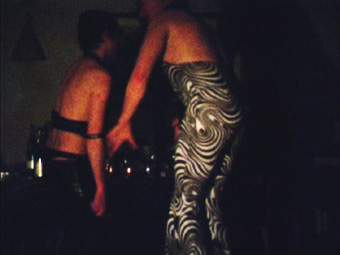 zebre
